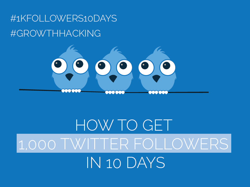 #Twitter Day 3 - Get 1,000 Twitter Followers in 10 Days