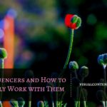 Micro-Influencers and How to Successfully Work with Them