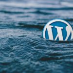 WordPress Developer and Database Administrator Tips for 2019