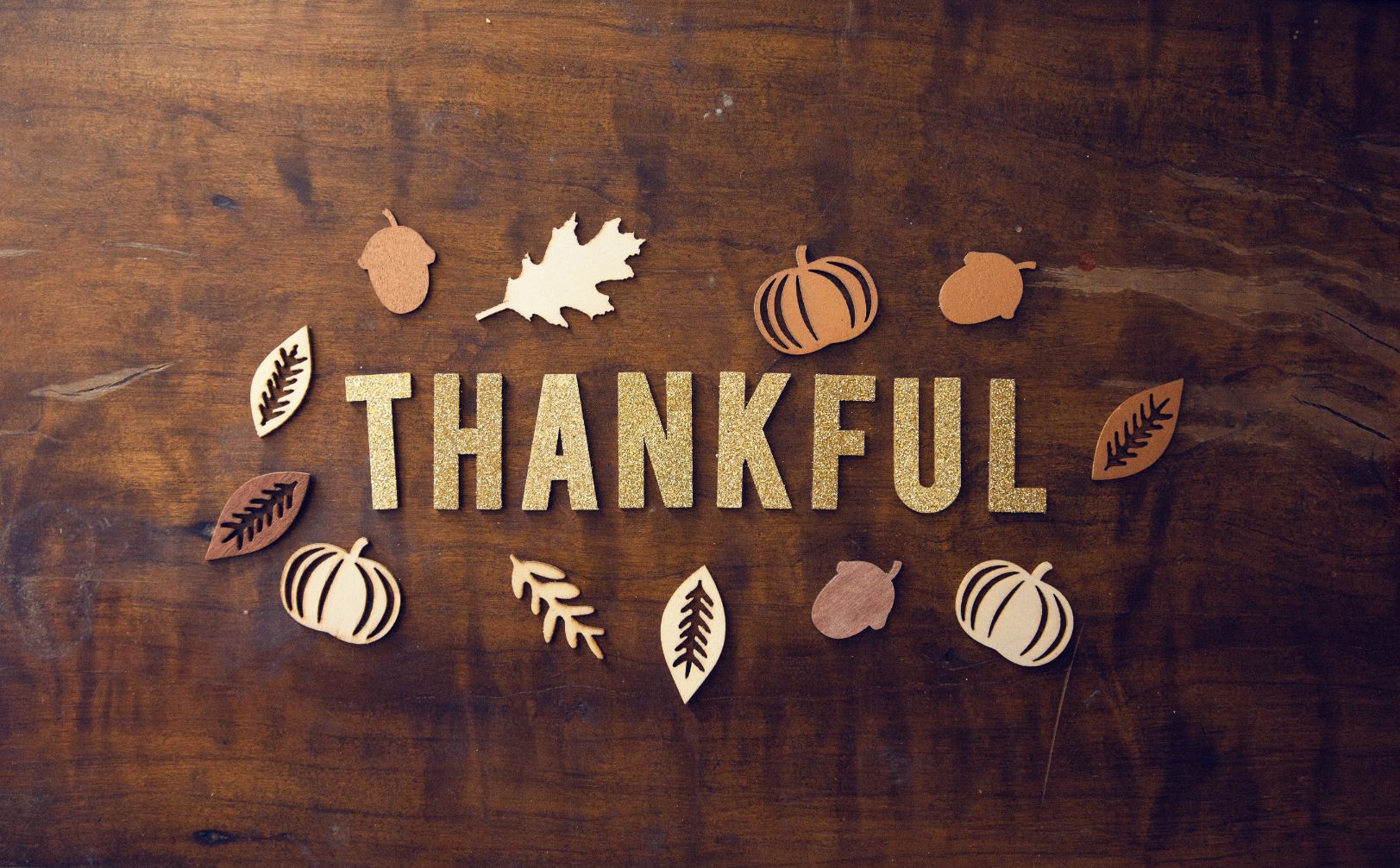 How to Make Thankful Marketing Work for You This November