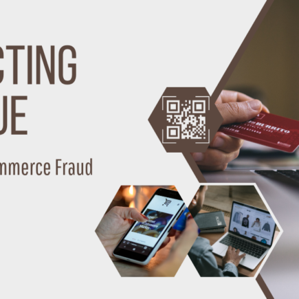 Protecting Revenue Combatting E-commerce Fraud